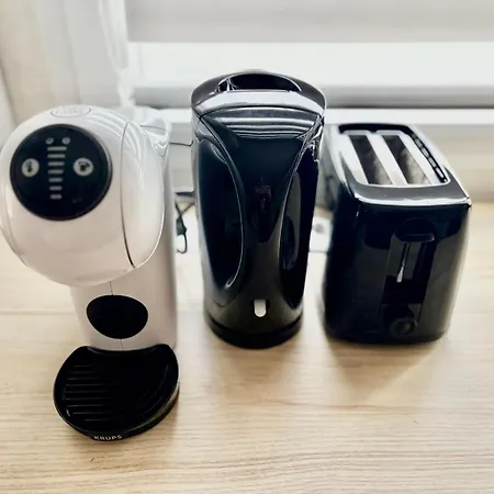 The Echevins' Jewel A Peaceful In Appartement Illkirch-Graffenstaden