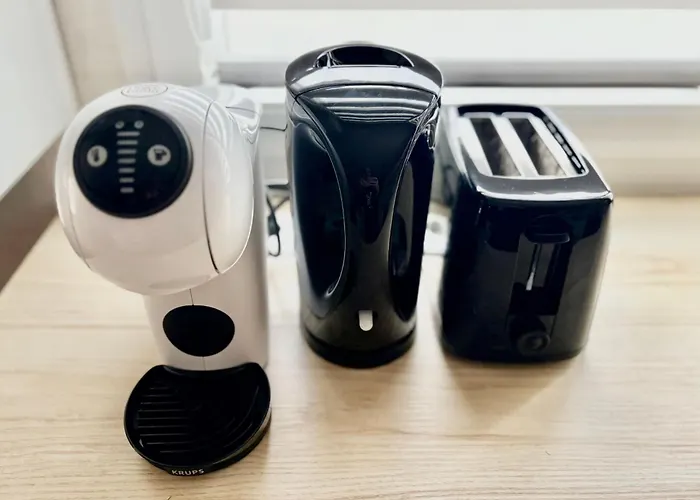 The Echevins' Jewel A Peaceful In Appartement Illkirch-Graffenstaden